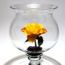 FFC Ketsch Karl Hofmann 01